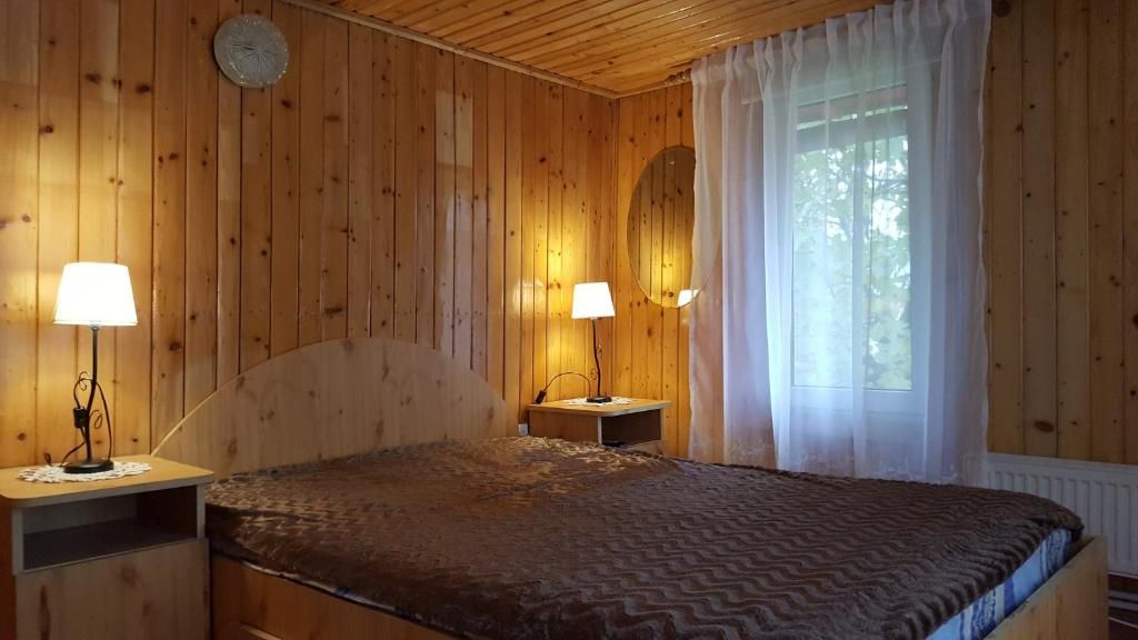Дома для отпуска Vila Gabriela Буштени