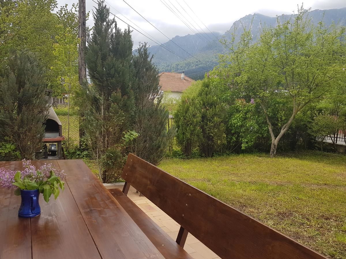 Дома для отпуска Vila Gabriela Буштени